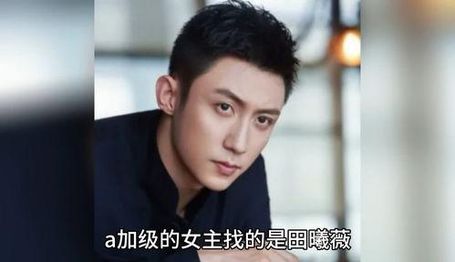 在娱乐圈吃瓜八卦的小说,幕后风云,瓜田乱舞